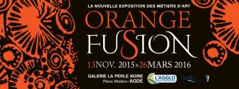Ouverture de l'exposition "Orange fusion"